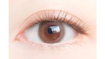 EYEGENIC BY EVERCOLOR PUREMORE (1BOX 1SHEET) 0