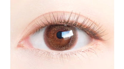 [POW0]EYEGENIC BY EVERCOLOR 1MONTH COCO PLUM(1BOX 2SHEETS) 0