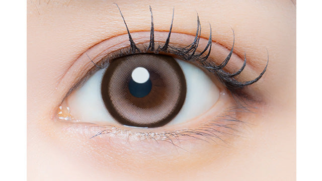 EYEGENIC BY EVERCOLOR CREAM GLAZE(1BOX 1SHEET) 0