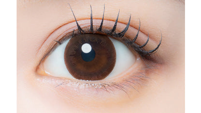 EYEGENIC BY EVERCOLOR SLEEK BROWN(1BOX 1SHEET) 0