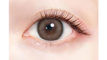 EVERCOLOR 1DAY MILIMORE YOKUBARI SYRUP(1BOX 10SHEETS) 0