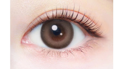 EVERCOLOR 1DAY NATURAL MILK BROWNIE(1BOX 20SHEETS) 0