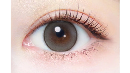 EVERCOLOR 1DAY NATURAL PEARL SNOW GRAY(1BOX 20SHEETS) 0