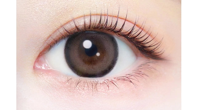 EVERCOLOR 1DAY NATURAL TEDDY MOCHA(1BOX 20SHEETS) 0