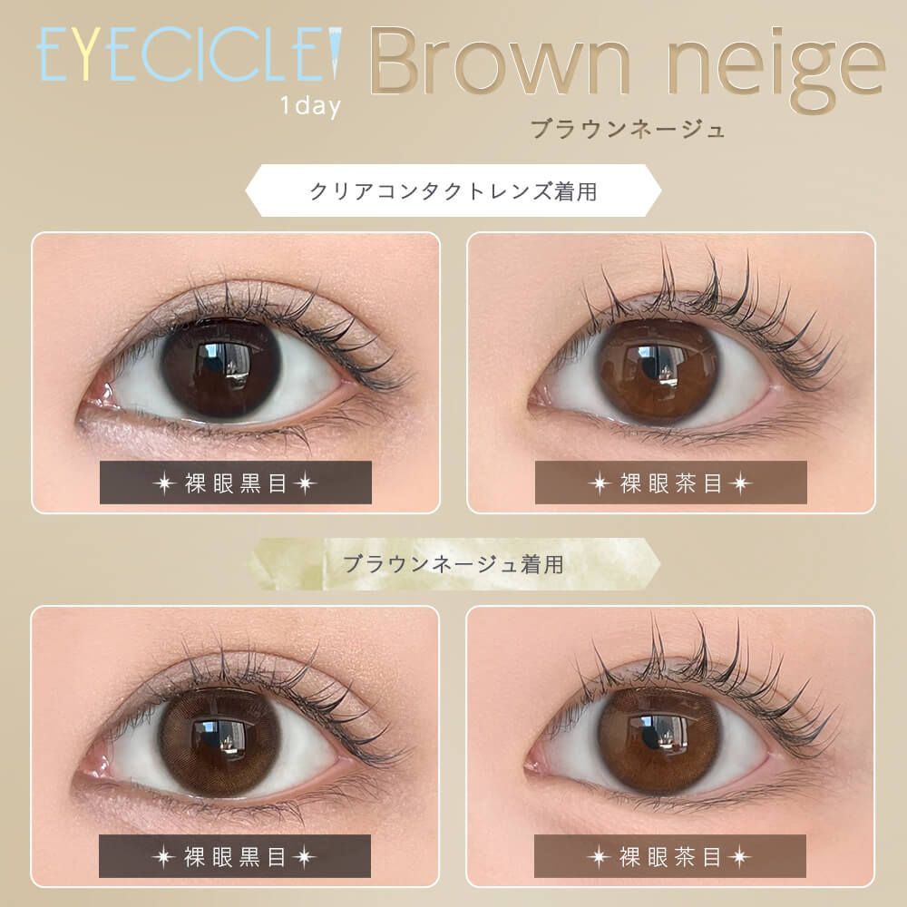 EYECICLE 1DAY BROWN NEIGE(1BOX 10SHEETS) 0