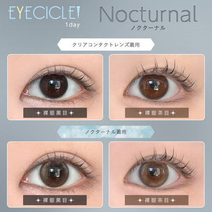 EYECICLE 1DAY NOCTURNAL(1BOX 10SHEETS) 0