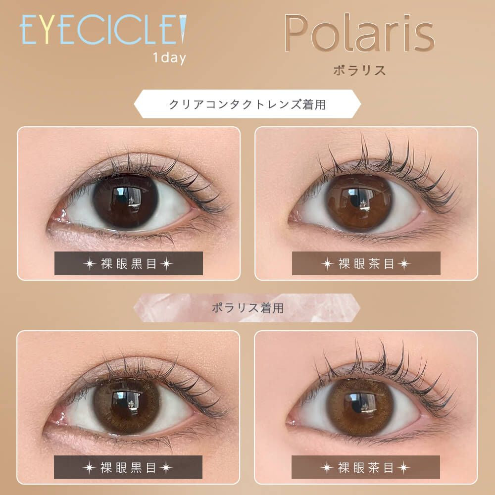 EYECICLE 1DAY POLARIS(1BOX 10SHEETS) 0