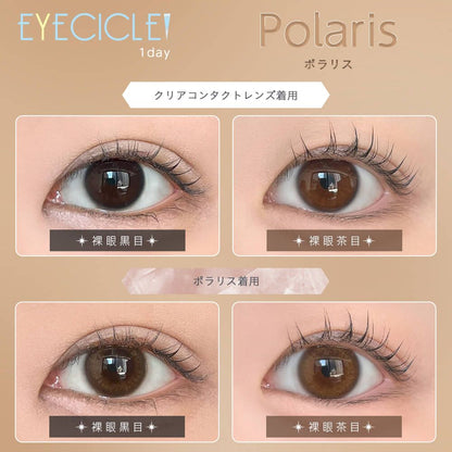 EYECICLE 1DAY POLARIS(1BOX 10SHEETS) 0