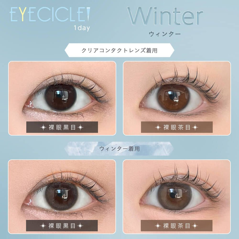 EYECICLE 1DAY WINTER(1BOX 10SHEETS) 0