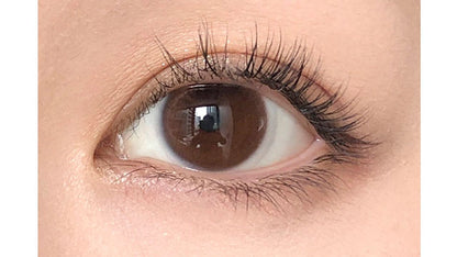 EYEMAKE 1MONTH LUCE BROWN(1BOX 2SHEETS) 0