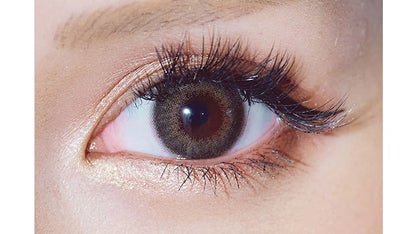 EYEMAZING 1DAY SAND BEIGE(1BOX 10SHEETS) 0