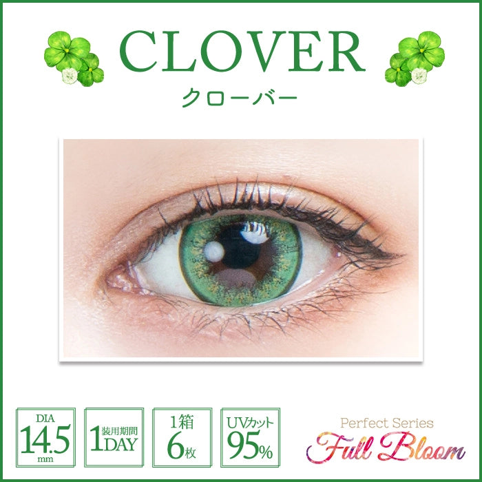 PERFECT SERIES FULL BLOOM 1DAY CLOVER(1BOX 6SHEETS) 0