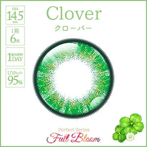 PERFECT SERIES FULL BLOOM 1DAY CLOVER(1BOX 6SHEETS) 1