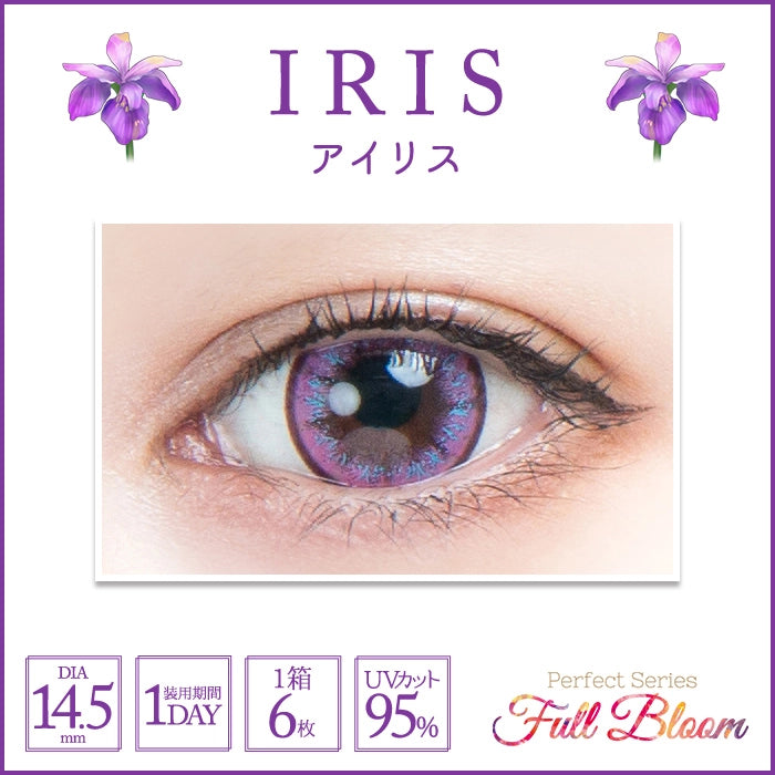PERFECT SERIES FULL BLOOM 1DAY IRIS(1BOX 6SHEETS) 0
