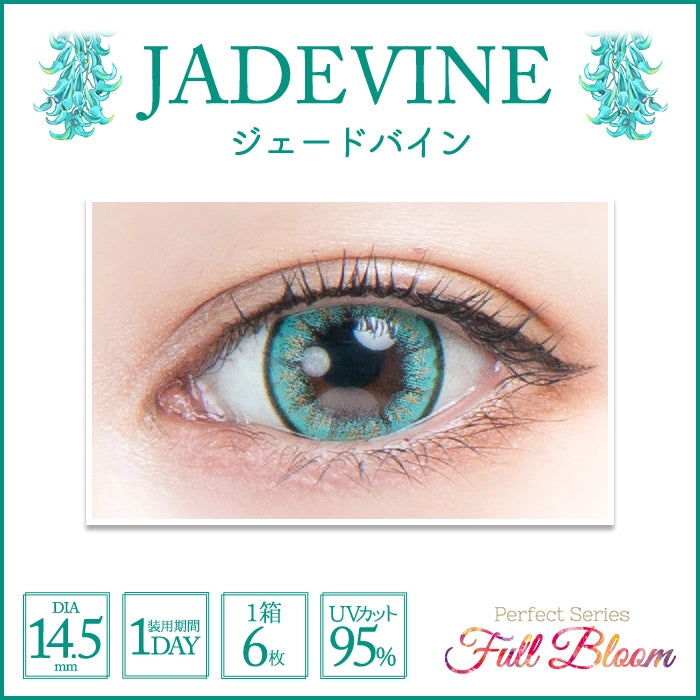 PERFECT SERIES FULL BLOOM 1DAY JADEVINE(1BOX 6SHEETS) 0