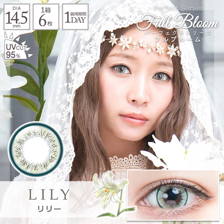 PERFECT SERIES FULL BLOOM 1DAY LILY(1BOX 6SHEETS) MAIN IMAGE