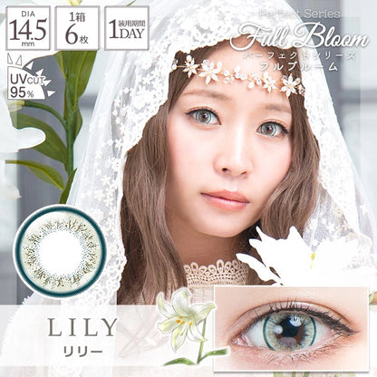 PERFECT SERIES FULL BLOOM 1DAY LILY(1BOX 6SHEETS) MAIN IMAGE