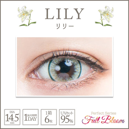 PERFECT SERIES FULL BLOOM 1DAY LILY(1BOX 6SHEETS) 0