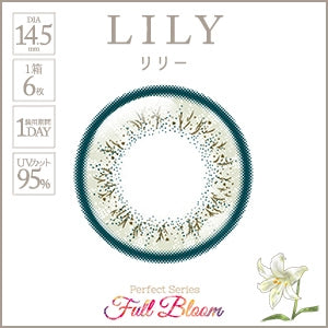 PERFECT SERIES FULL BLOOM 1DAY LILY(1BOX 6SHEETS) 1