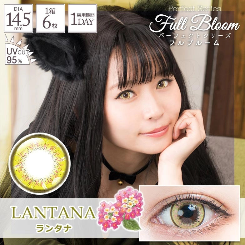 PERFECT SERIES FULL BLOOM 1DAY LANTANA(1BOX 6SHEETS) MAIN IMAGE