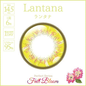 PERFECT SERIES FULL BLOOM 1DAY LANTANA(1BOX 6SHEETS) 1