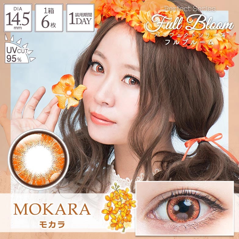 PERFECT SERIES FULL BLOOM 1DAY MOCARA(1BOX 6SHEETS) MAIN IMAGE