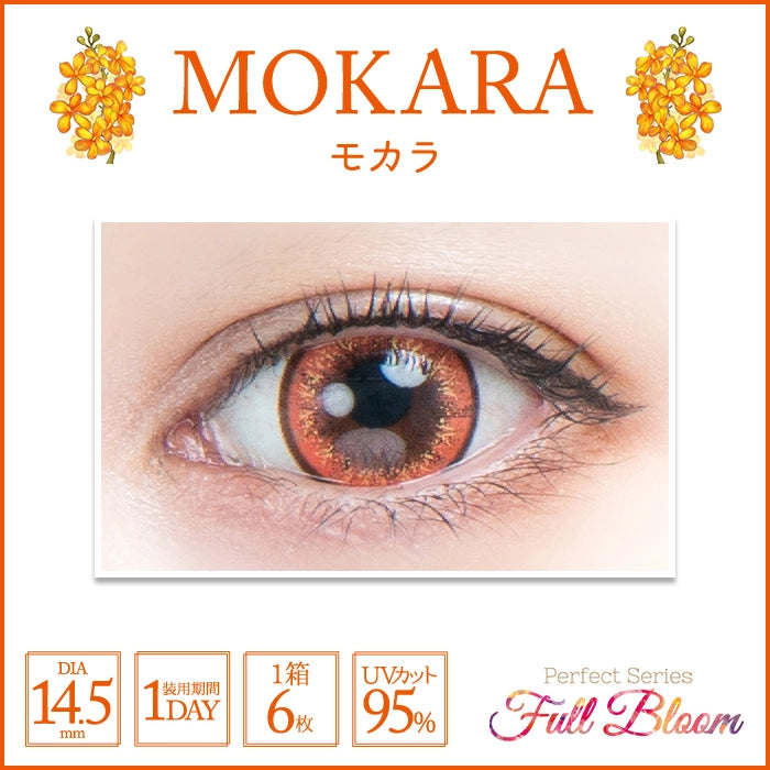PERFECT SERIES FULL BLOOM 1DAY MOCARA(1BOX 6SHEETS) 0