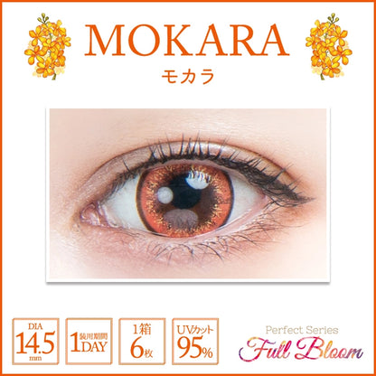 PERFECT SERIES FULL BLOOM 1DAY MOCARA(1BOX 6SHEETS) 0