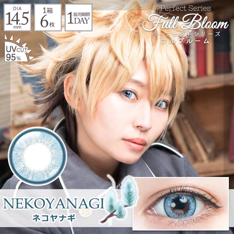 PERFECT SERIES FULL BLOOM 1DAY NEKOYANAGI(1BOX 6SHEETS) MAIN IMAGE