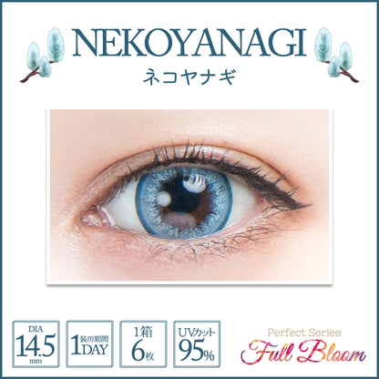 PERFECT SERIES FULL BLOOM 1DAY NEKOYANAGI(1BOX 6SHEETS) 0