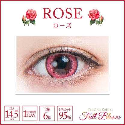 PERFECT SERIES FULL BLOOM 1DAY ROSE(1BOX 6SHEETS) 0