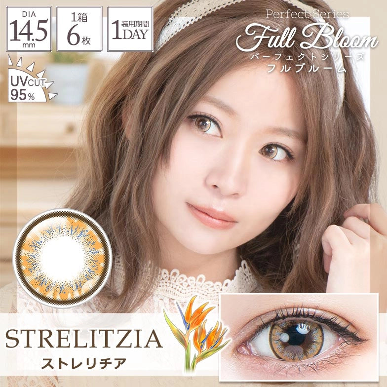 PERFECT SERIES FULL BLOOM 1DAY STRELITZIA(1BOX 6SHEETS) MAIN IMAGE