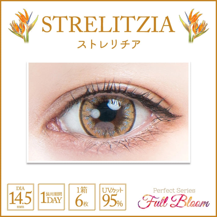 PERFECT SERIES FULL BLOOM 1DAY STRELITZIA(1BOX 6SHEETS) 0