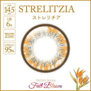 PERFECT SERIES FULL BLOOM 1DAY STRELITZIA(1BOX 6SHEETS) 1