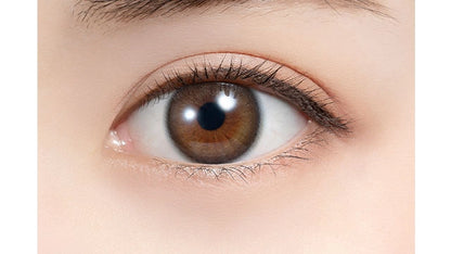 FELIAMO 1DAY COFFEE JELLY(1BOX 10SHEETS) 0