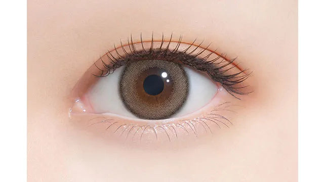 FALOOM 1DAY BRULEE BROWN(1BOX 10SHEETS) 0