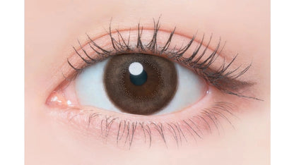 FLANMY SWEET 1DAY CARAMEL PIE(1BOX 10SHEETS) 0