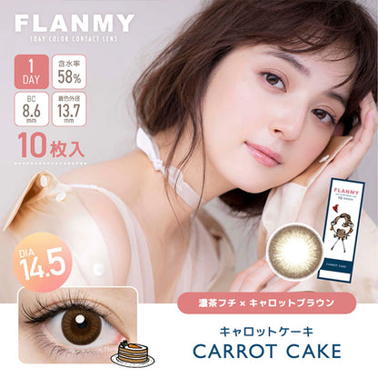 FLANMY SWEET 1DAY CARROT CAKE(1BOX 10SHEETS) MAIN IMAGE