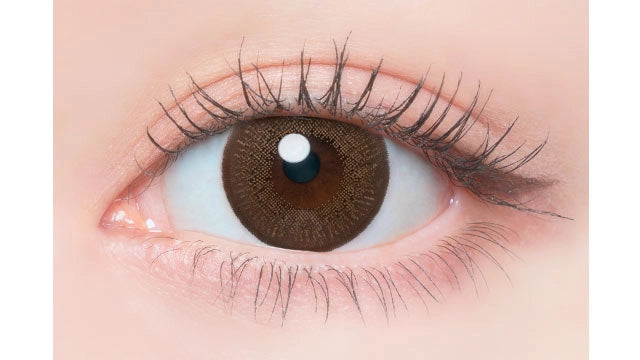 FLANMY SWEET 1DAY DARK MOCHA(1BOX 10SHEETS) 0