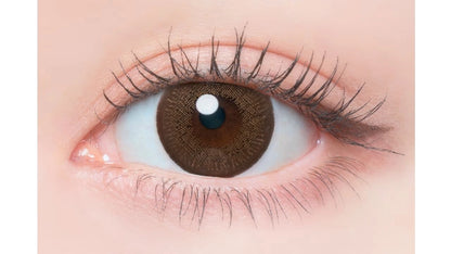 FLANMY SWEET 1DAY DARK MOCHA(1BOX 10SHEETS) 0