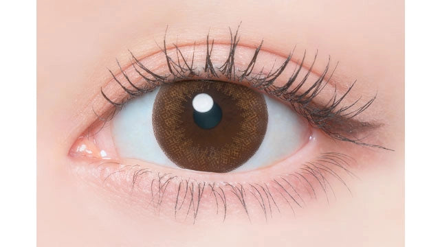 FLANMY SWEET 1DAY DOUGHNUT BROWN(1BOX 10SHEETS) 0