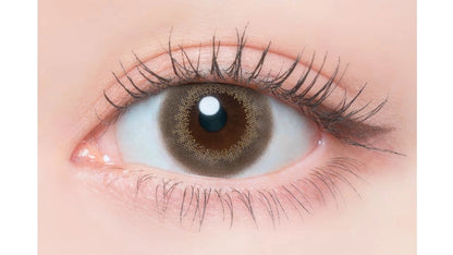 FLANMY SWEET 1DAY HOJICHA BAUM(1BOX 10SHEETS) 0