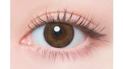 FLANMY SWEET 1DAY MAPLE SHIFFON(1BOX 10SHEETS) 0