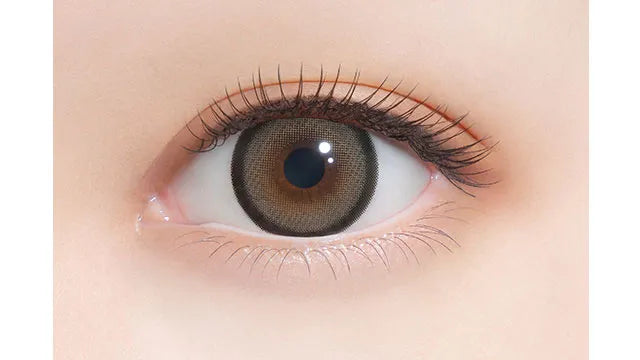 FALOOM 1DAY SMORE RING BROWN(1BOX 10SHEETS) 0
