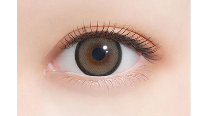 FALOOM 1DAY SMORE RING BROWN(1BOX 10SHEETS) 0