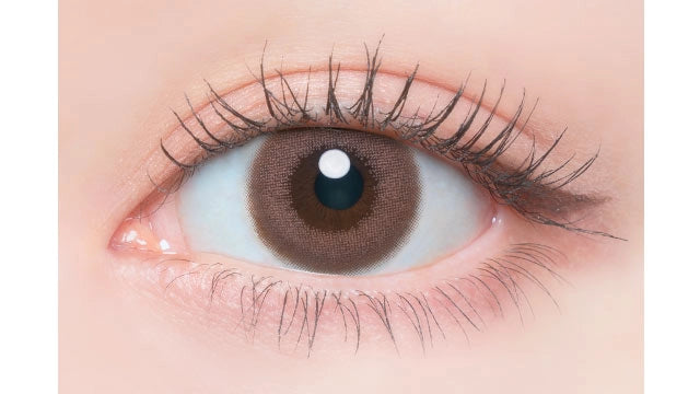 FLANMY SHELL 1DAY TULLE ROSE(1BOX 10SHEETS) 0