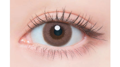 FLANMY SHELL 1DAY TULLE ROSE(1BOX 10SHEETS) 0