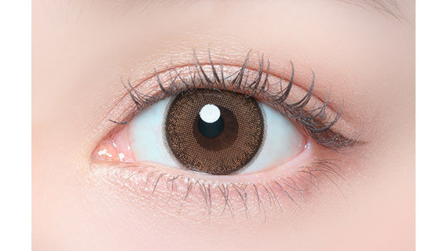 FLANMY TORIC 1DAY MAPLE CHIFFON CYL -0.75(1BOX 10SHEETS) 0