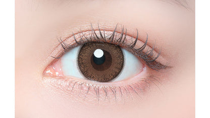 FLANMY TORIC 1DAY MAPLE CHIFFON CYL -0.75(1BOX 10SHEETS) 0