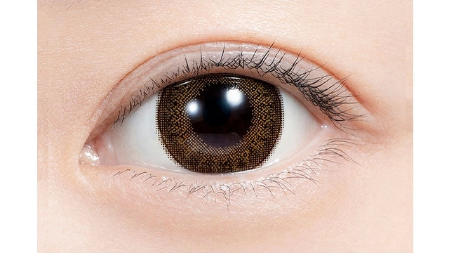 FELIAMO 1DAY CHESTNUT(1BOX 10SHEETS) 0